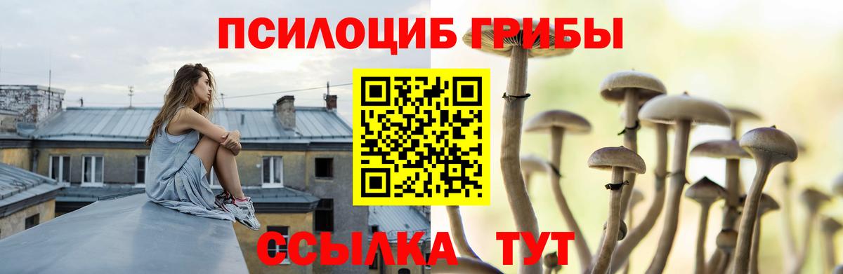 Псилоцибиновые грибы ЛСД  Вход с VPN  Галлюциногенные грибы прущие грибы  Кингисепп 